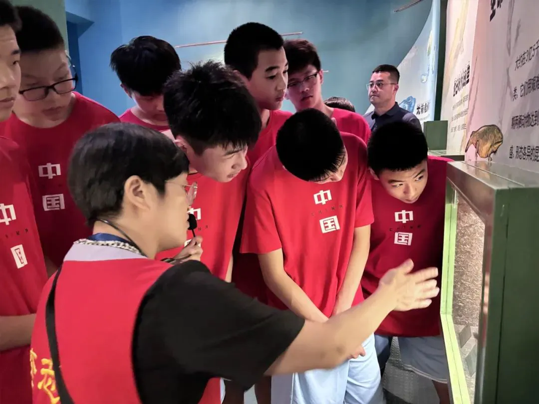 如何制定智能篮球训练计划_0